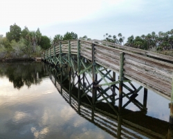 fishing-bridge_10970710495_o