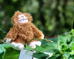little-bigfoot_29403799906_o