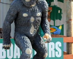 skunkape-or-bigfoot_35716971014_o